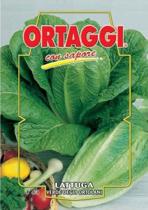 LATTUGA Romana verde degli Ortolani