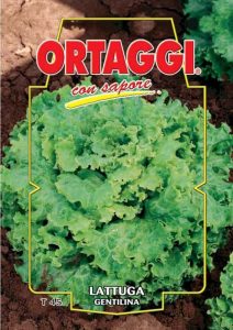 LATTUGA Gentilina