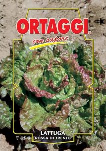 LATTUGA Rossa di Trento
