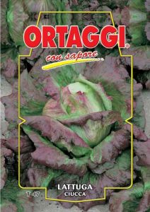 LATTUGA Ciucca