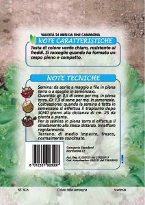 LATTUGA Batavia bionda di Parigi