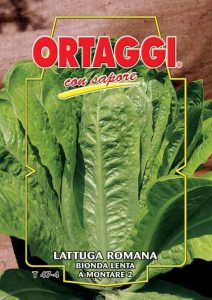 LATTUGA Romana bionda lenta a montare 2