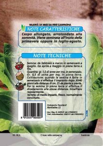 LATTUGA Romana bionda lenta a montare 2