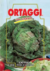 LATTUGA Mora d'Inverno
