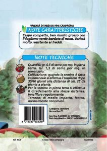 LATTUGA Mora d'Inverno