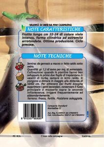 MELANZANA Violetta lunga 3