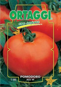 POMODORO Tondo liscio Ace