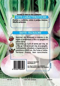 RAPA di Milano a colletto viola