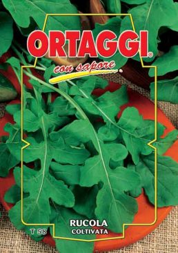 RUCOLA Coltivata