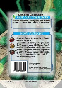 ZUCCHINO Verde di Milano