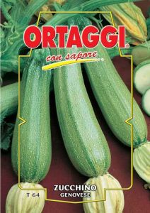 ZUCCHINO Chiaro di Genova - Genovese