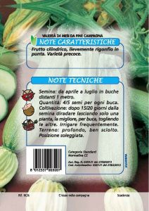 ZUCCHINO Chiaro di Genova - Genovese