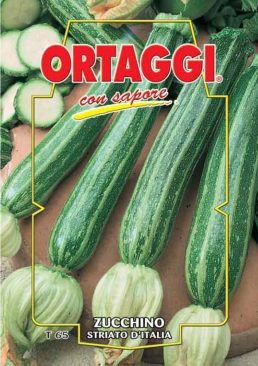 ZUCCHINO Striato d'Italia