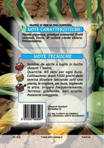 ZUCCHINO Tondo di Nizza
