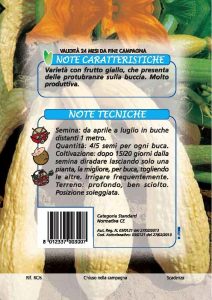 ZUCCHINO Giallo del Friuli