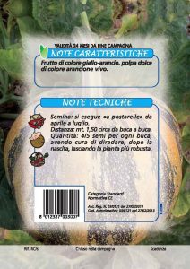 ZUCCA Americana tonda (da campo Veneta)