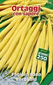 FAGIOLO NANO Berggold (Montagna d'oro)