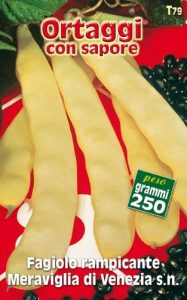 FAGIOLO RAMPICANTE Meraviglia di Venezia SN