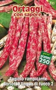 FAGIOLO NANO Borlotto Lingua di Fuoco