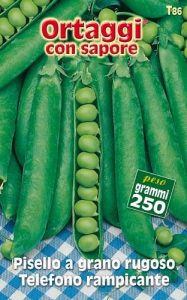 PISELLO RAMPICANTE Telefono