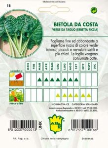 BIETOLA DA TAGLIO Erbette ricce da taglio