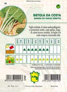 BIETOLA DA TAGLIO Erbette bionde