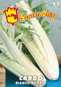 CARDO Bianco Avorio d'Asti