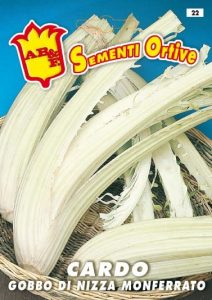 CARDO Gigante di Nizza gobbo