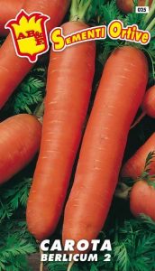 CAROTA Berlicum lunga