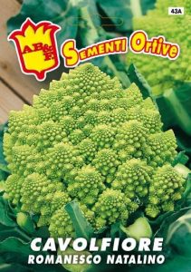 CAVOLO BROCCOLO Romanesco