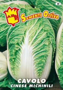 CAVOLO Cinese