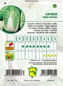 CAVOLO Cinese