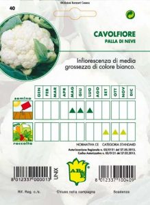 CAVOLFIORE Palla di Neve