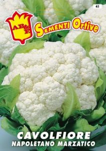 CAVOLFIORE Napoletano marzatico