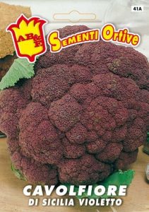 CAVOLFIORE Violetto di Sicilia