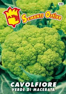 CAVOLFIORE Verde di Macerata