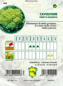 CAVOLFIORE Verde di Macerata