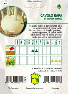 CAVOLO RAPA bianco