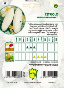 CETRIOLO Mezzo lungo bianco