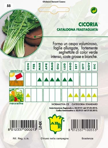 CICORIA / RADICCHIO Catalogna Frastagliata