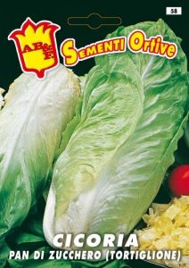 CICORIA / RADICCHIO Pan di Zucchero o Tortiglione