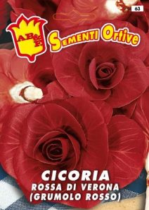 CICORIA / RADICCHIO Rossa di Verona
