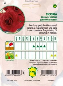 CICORIA / RADICCHIO Rossa di Verona