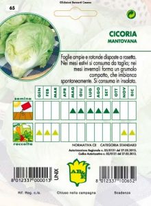 CICORIA / RADICCHIO Mantovana o Capotta