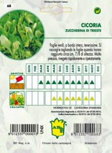 CICORIA / RADICCHIO Bionda di Trieste da taglio