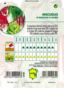 CICORIA / RADICCHIO Miscuglio di cicorie-radicchi