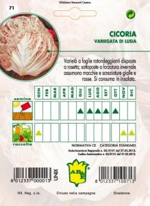 CICORIA / RADICCHIO Variegata di Lusia