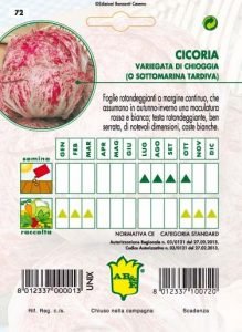 CICORIA / RADICCHIO Variegata di Chioggia