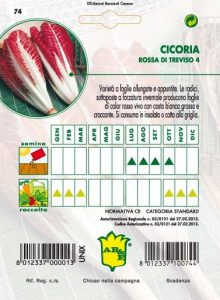 CICORIA / RADICCHIO Rossa di Treviso