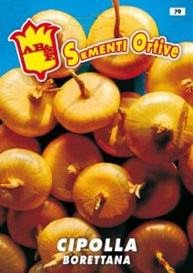 CIPOLLA Piatta di Como per sott'aceto